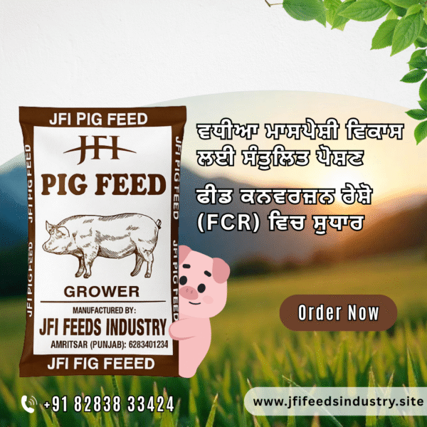 JFI Grower Feed – Premium Nutrition for Healthy Pig Growth (50 KG) - Image 4