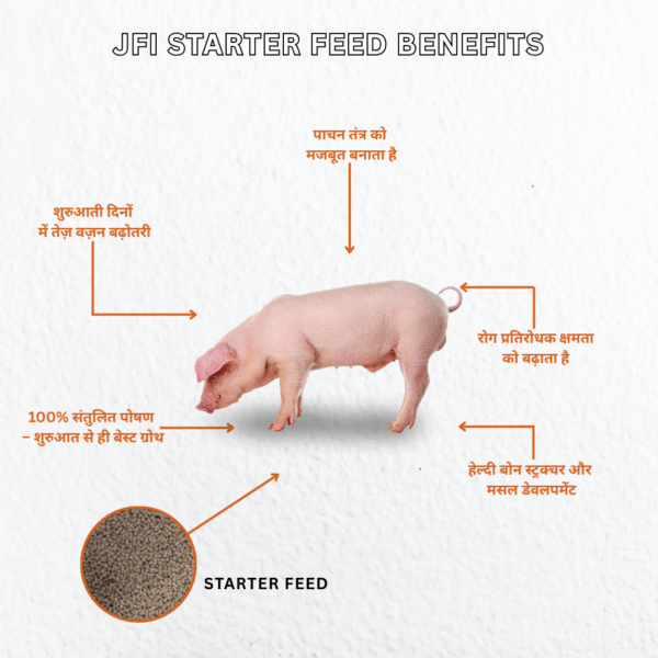 JFI Starter Feed – Scientifically Balanced Nutrition for Piglets (50 KG) - Image 3