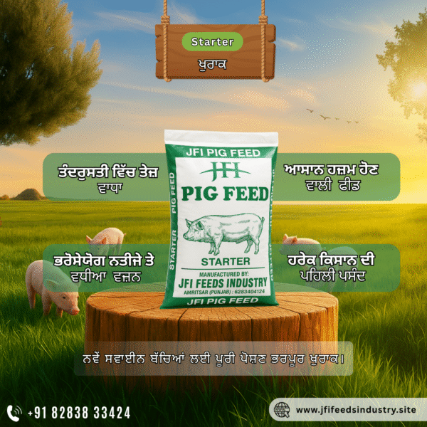 JFI Starter Feed – Scientifically Balanced Nutrition for Piglets (50 KG) - Image 4