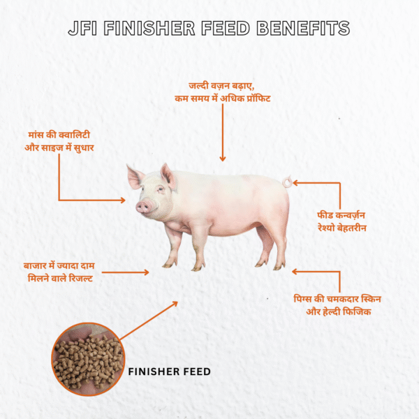 JFI Finisher Feed – High-Performance Feed for Healthy & Profitable Pigs (50 KG) - Image 3
