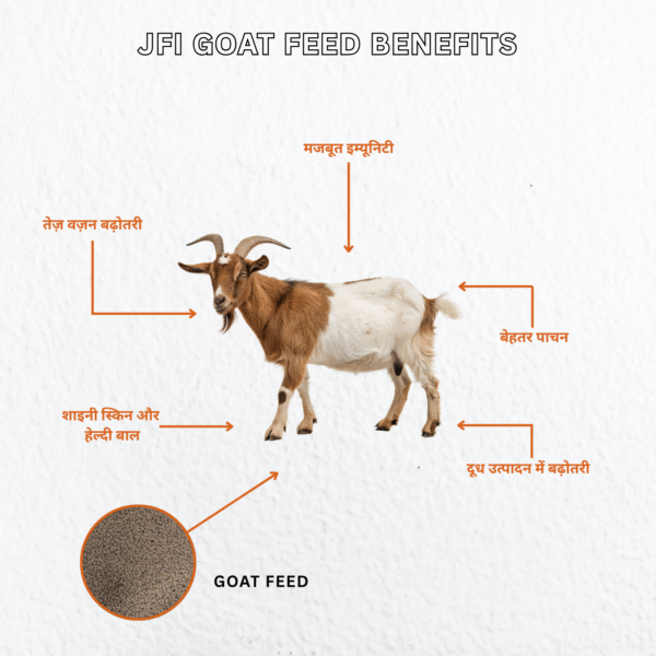 JFI Goat Feed – Balanced Nutrition for Healthy Growth & Weight Gain (50 KG Bag) - Image 3