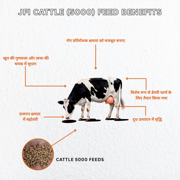 JFI Cattle Feed 5000 – Premium Cattle Feed for Higher Milk Yield (50 KG Bag) - Image 3