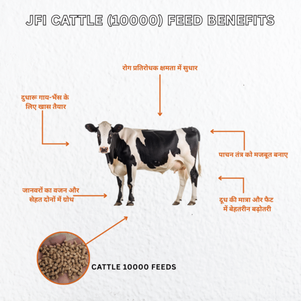 JFI Cattle Feed 10000 – Ultra Premium Dairy Cattle Feed 50 KG - Image 3