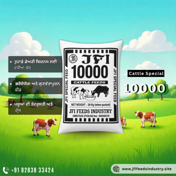JFI Cattle Feed 10000 – Ultra Premium Dairy Cattle Feed 50 KG - Image 4