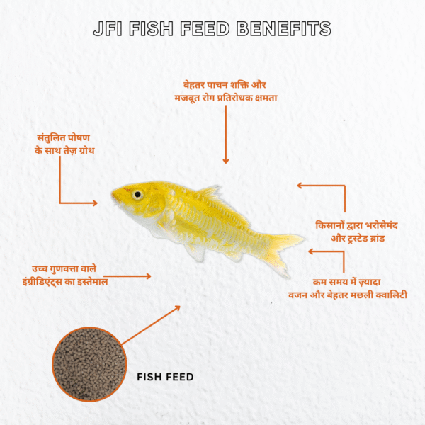 JFI Fish Feed – Premium Growth & Health Formula for All Fish Types (25 KG Bag) - Image 3