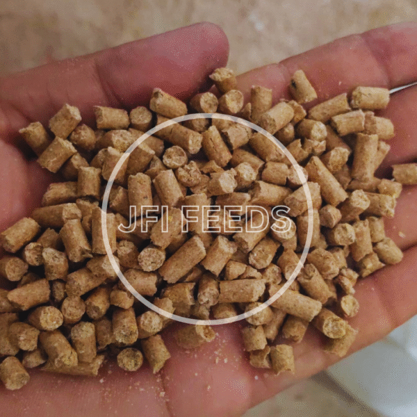 JFI Cattle Feed 3000 (Dairy Special) – Balanced Nutrition for Milk Production (50 KG) - Image 2