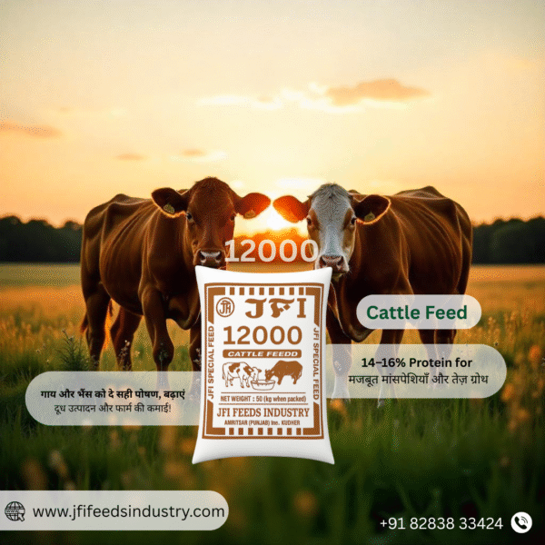 JFI Cattle Feed 12000 – Ultra Premium Dairy Cattle Feed 50 KG - Image 4